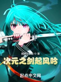 次元之剑起风吟封面