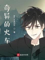 奇异的火车封面