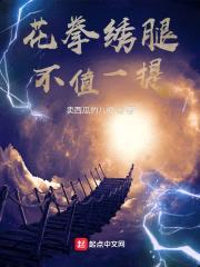 花拳绣腿不值一提封面