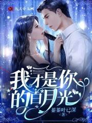 我才是你的白月光封面