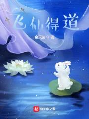 飞仙得道封面