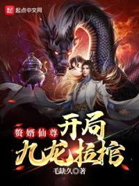 赘婿仙尊开局九龙拉棺封面