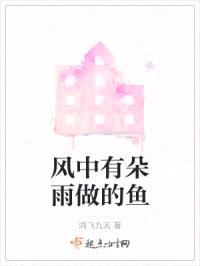风中有朵雨做的鱼封面