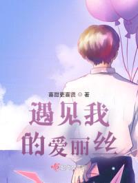 遇见我的爱丽丝封面