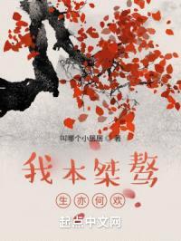 我本桀骜，生亦何欢封面