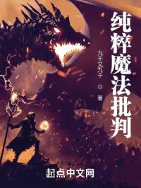 纯粹魔法批判封面