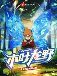 木叶龙野封面