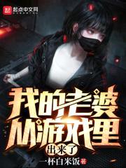 我的老婆从游戏里出来了封面