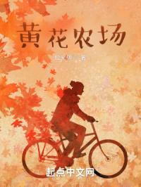黄花农场往事封面