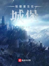 骷髅重生在城堡封面