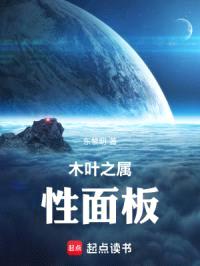 木叶之属性面板封面