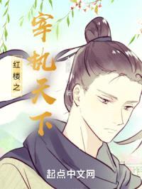 红楼之宰执天下封面