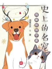 我能捡到华夏史上的名宠封面