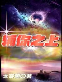 辅你之上封面