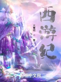 西游纪封面