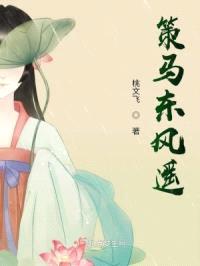 策马东风遥封面
