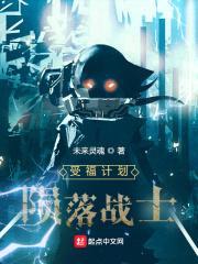 受福计划：陨落战士封面