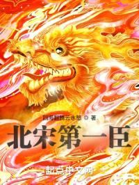 北宋第一臣封面