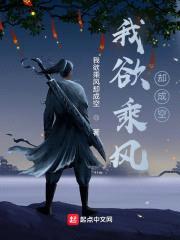 我欲乘风却成空封面