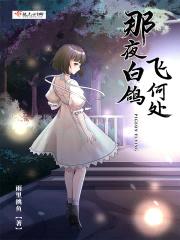 那夜白鸽飞何处封面