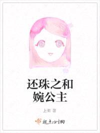还珠之和婉公主封面