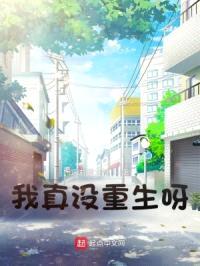 我真没重生呀封面