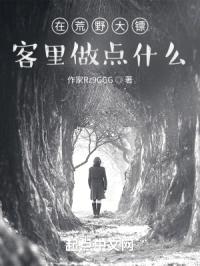 在荒野大镖客里做点什么封面