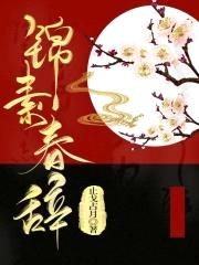 锦素春辞封面
