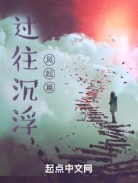 过往沉浮风起篇封面