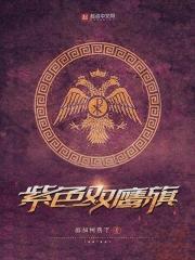 紫色双鹰旗封面