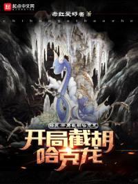 精灵：开局截胡哈克龙封面