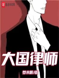 大国律师封面