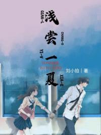 浅尝一夏封面