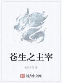 苍生之主宰封面