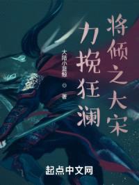 力挽狂澜将倾之大宋封面