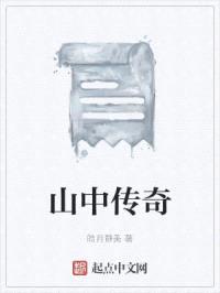 山中传奇封面