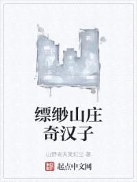 缥缈山庄汉子封面