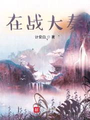 在战大秦封面