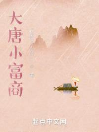 大唐小富商封面