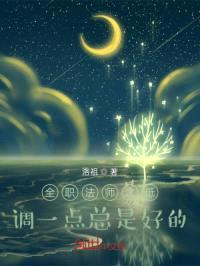 全职法师之低调一点总是好的封面