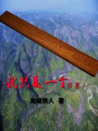 我只是一个修墓人封面