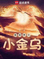 偷偷养只小金乌封面
