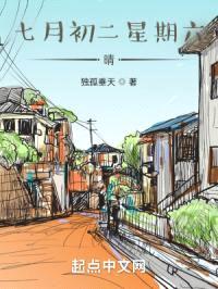 七月初二星期六晴封面