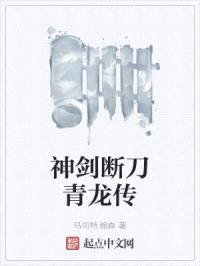 神剑断刀青龙传封面