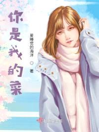 你是我的菜封面
