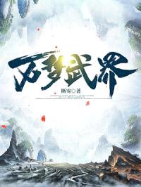 万梦武界封面