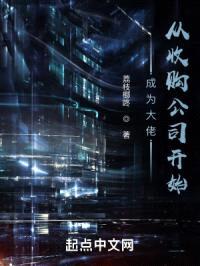 成为大佬，从收购公司开始封面