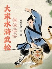 大宋水浒武松指点江山封面