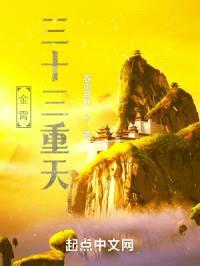 金霄三十三重天封面