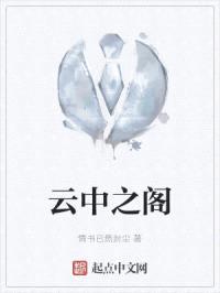 云中之阁封面